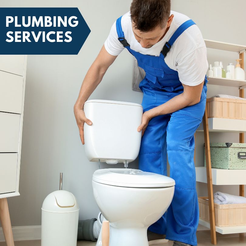 Plumbing Company in Pine, AZ